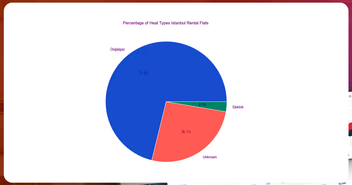 percentage-of-heat-types-istanbul-rental-flats.jpg